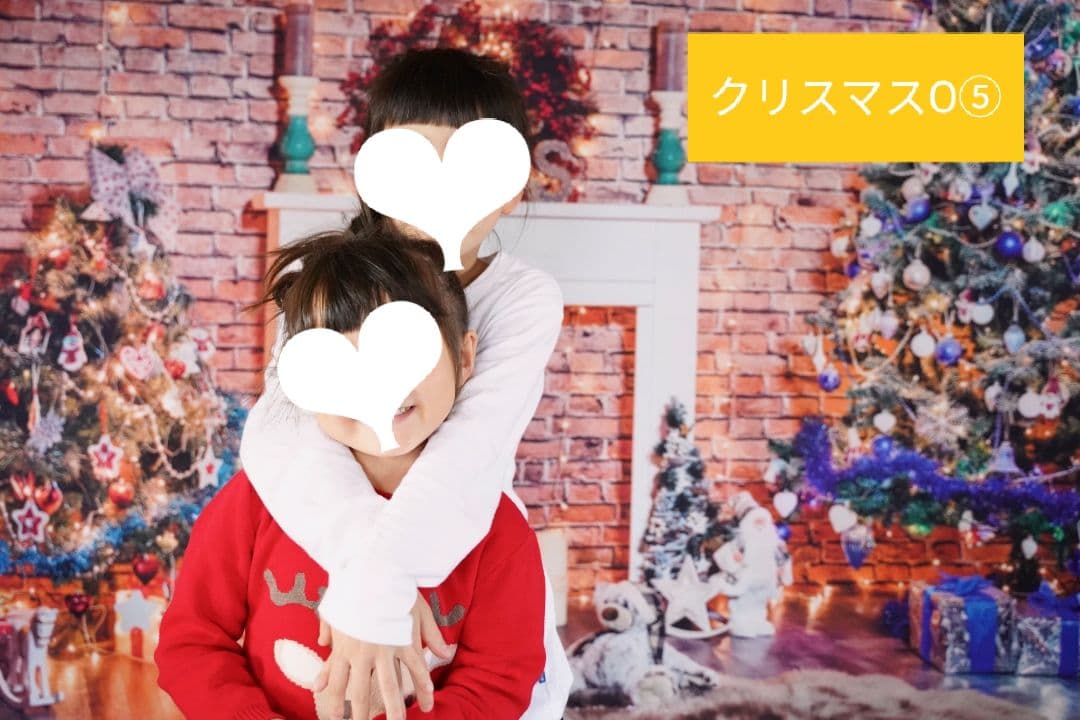 背景布　【　冬D　】サンプル　ペット撮影、ニューボーンフォトなどに♪