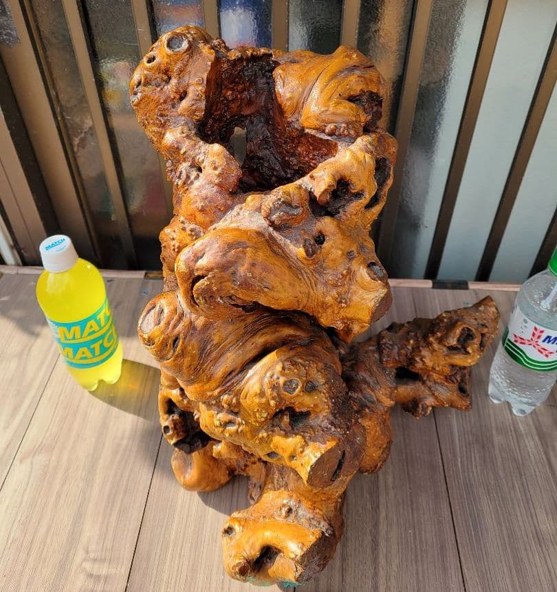 【22万円から、お正月特価に値下げしました。】流木？のオブジェ/花立/その他