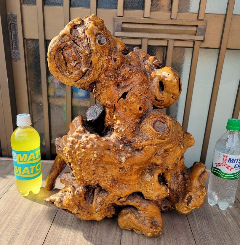 【22万円から、お正月特価に値下げしました。】流木？のオブジェ/花立/その他