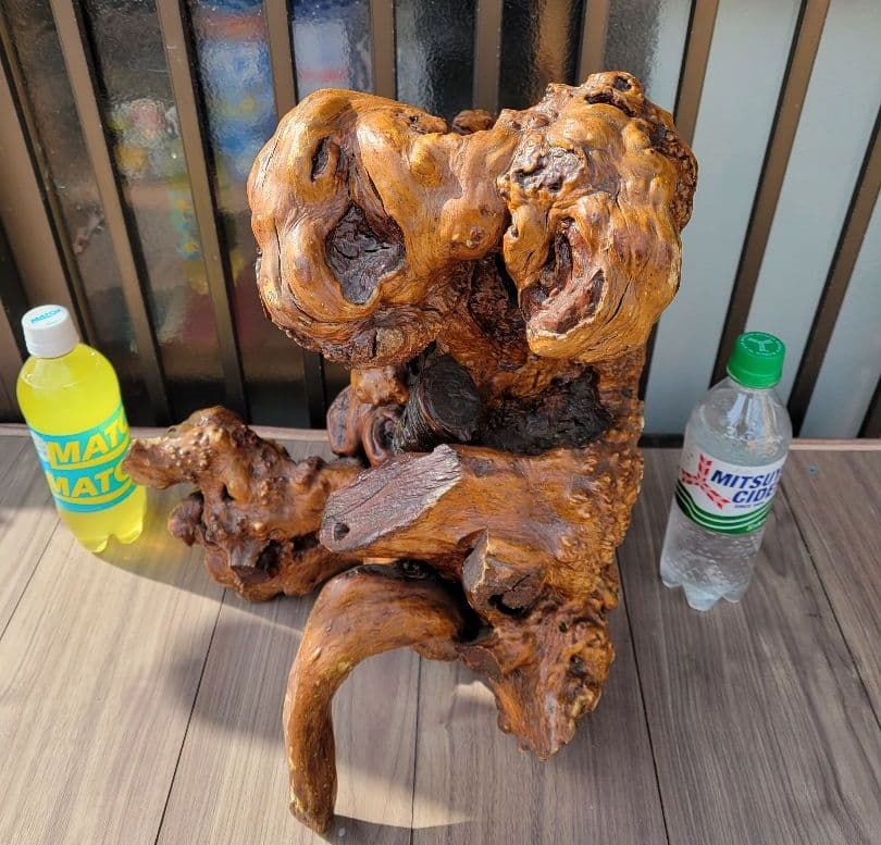 【22万円から、お正月特価に値下げしました。】流木？のオブジェ/花立/その他