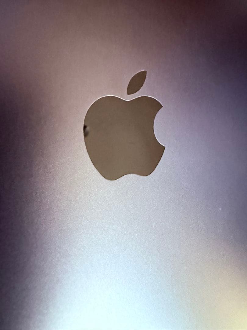 iPad Pro (M4) 13インチ Wi-Fi + Cellular