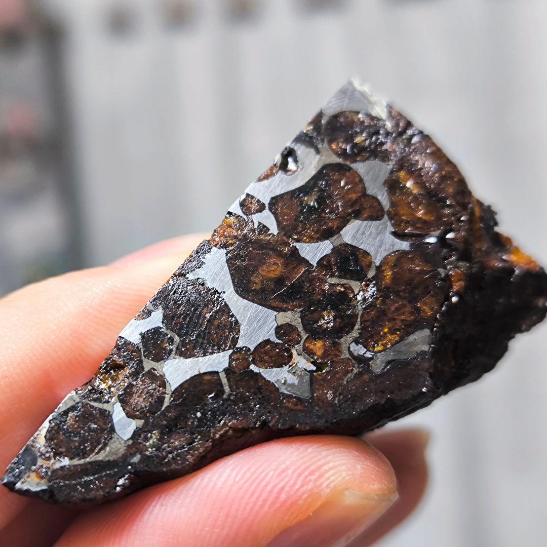 セリコ隕石 91g 外皮付き パラサイト 石鉄隕石