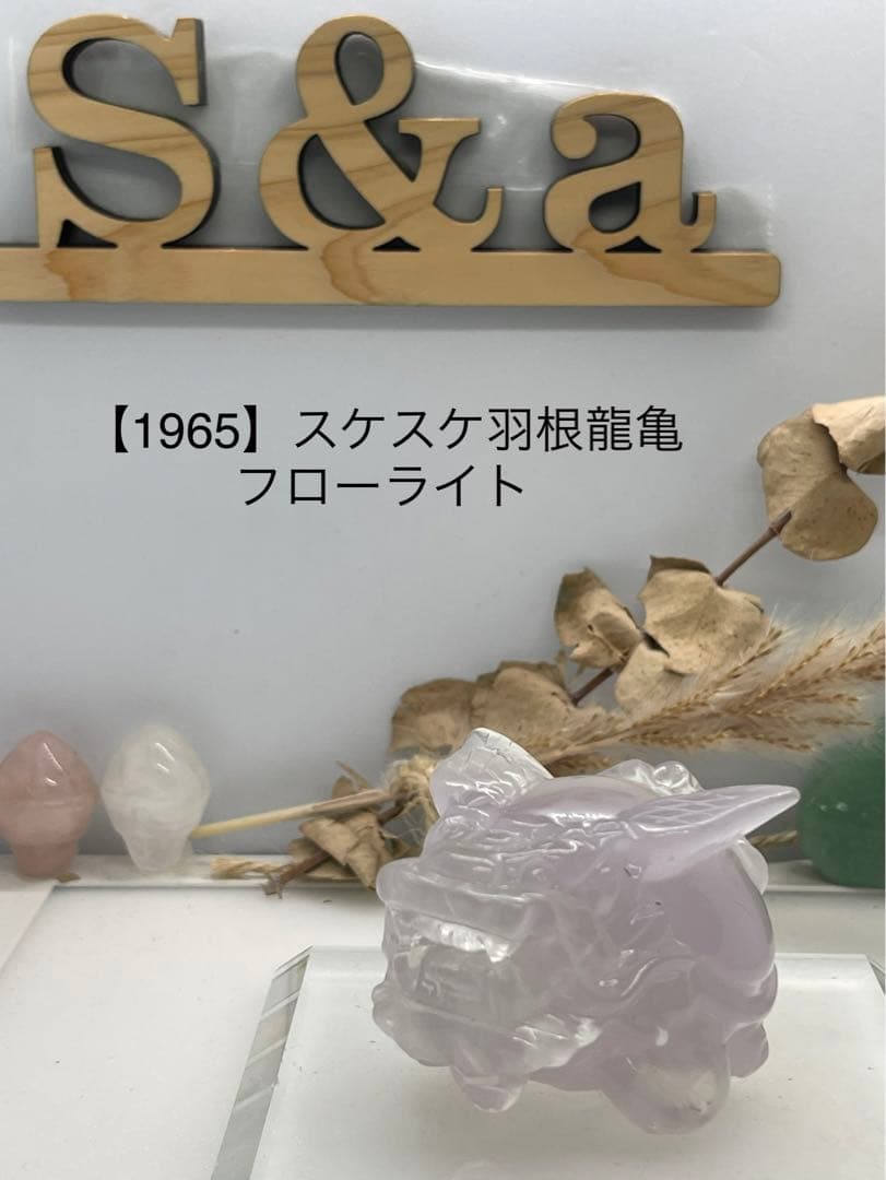 ポンポン様9【1965】スケスケ羽根龍亀 フローライト
