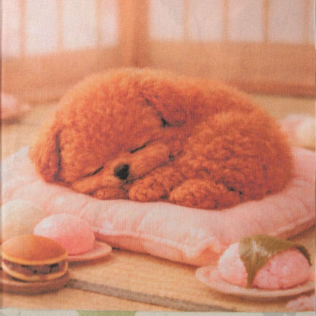 ☆受付☆トイプードル No.B