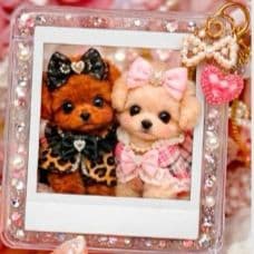 ☆受付☆トイプードル No.B