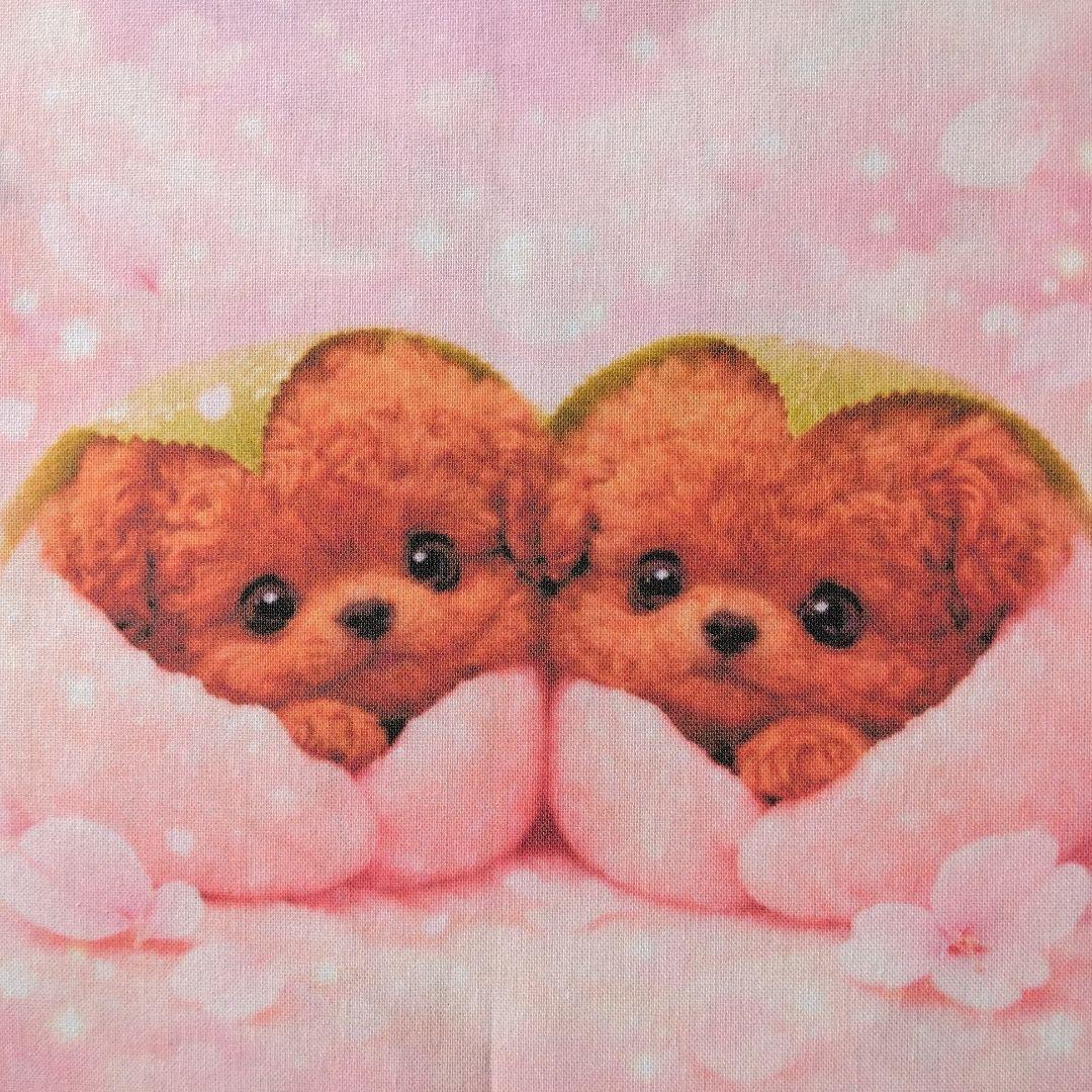 ☆受付☆トイプードル No.B