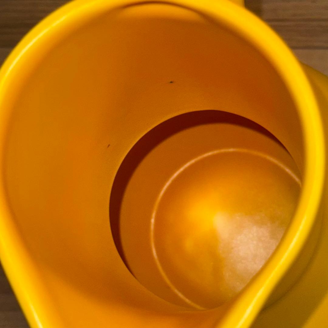 花瓶・フラワースタンド raawii Strom Jug L freesia yellow