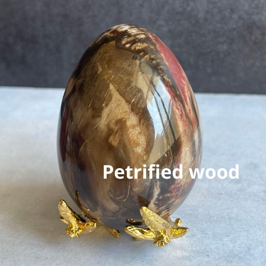 ペトリファイド ウッド エッグ 珪化木 マダガスカル産 台座付き