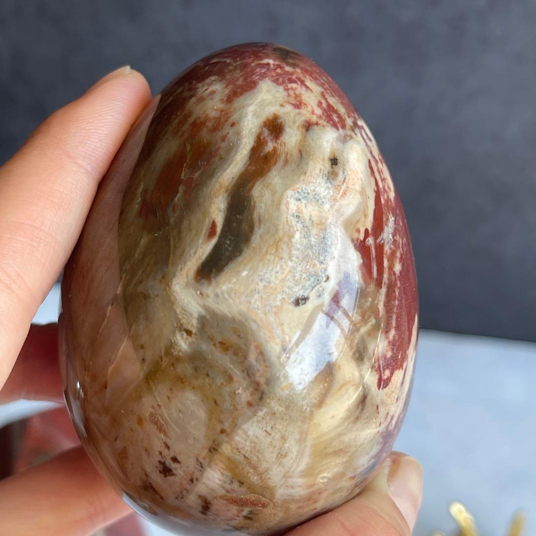 ペトリファイド ウッド エッグ 珪化木 マダガスカル産 台座付き