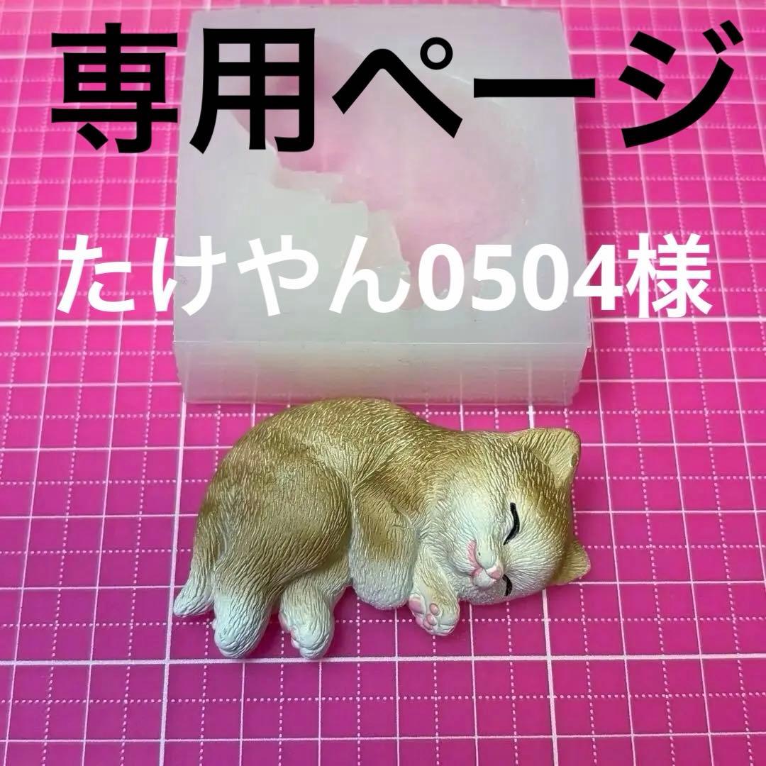 専用ページ　たけやん0504様　無害シリコンモールド