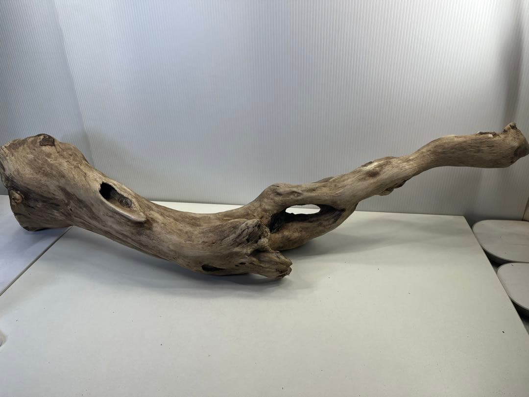 R64特大流木 アク抜き済み流木 爬虫類シェルター 登り木 インテリア 生け花