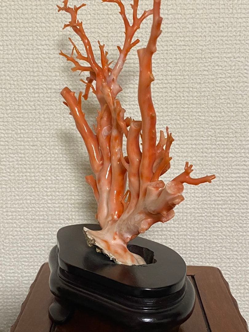 天然深海赤珊瑚 枝珊瑚置物 台座付きジュエリー宝石原木 オブジェ骨董