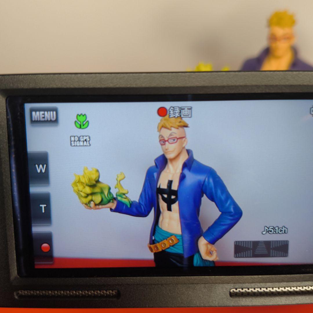 【動作確認済】SONY ソニー HDR-CX590V Handycam