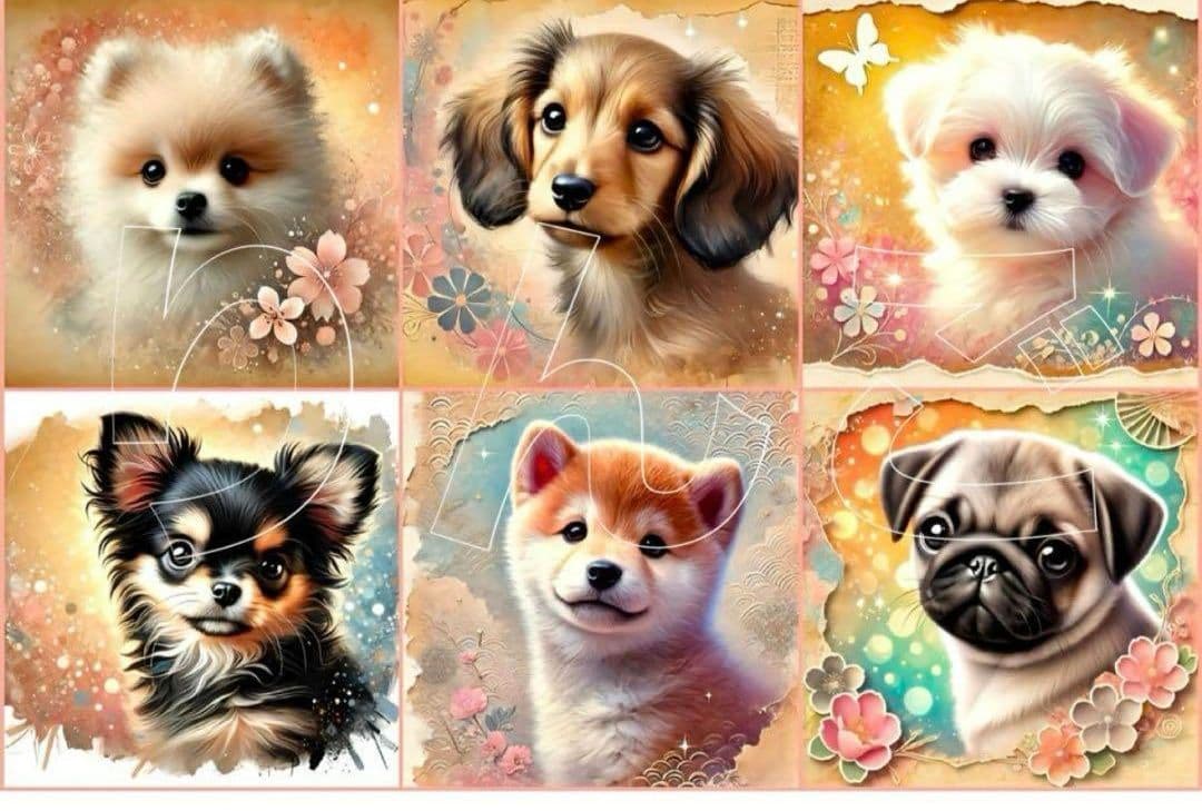 ワンちゃん専用です。