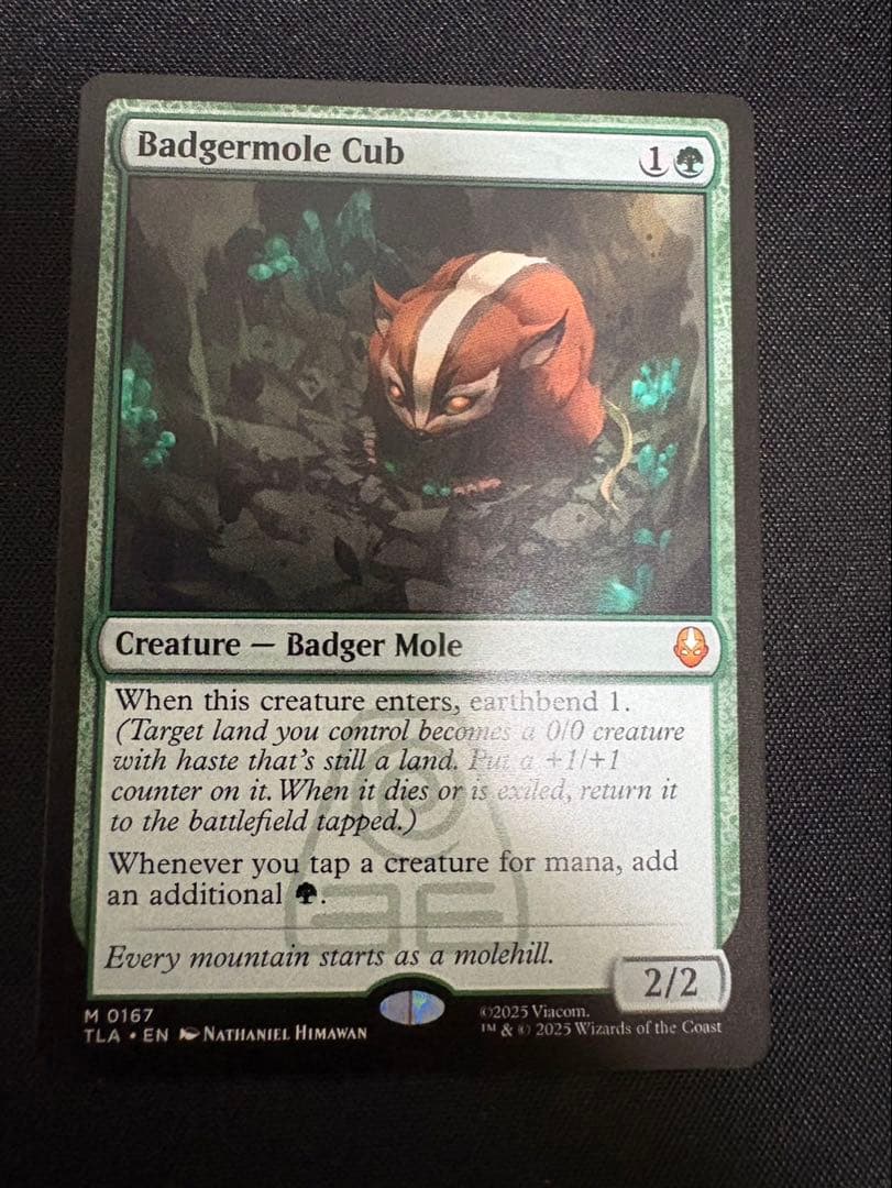 アナグマモグラの仔/Badgermole Cub マジック：ザ・ギャザリング