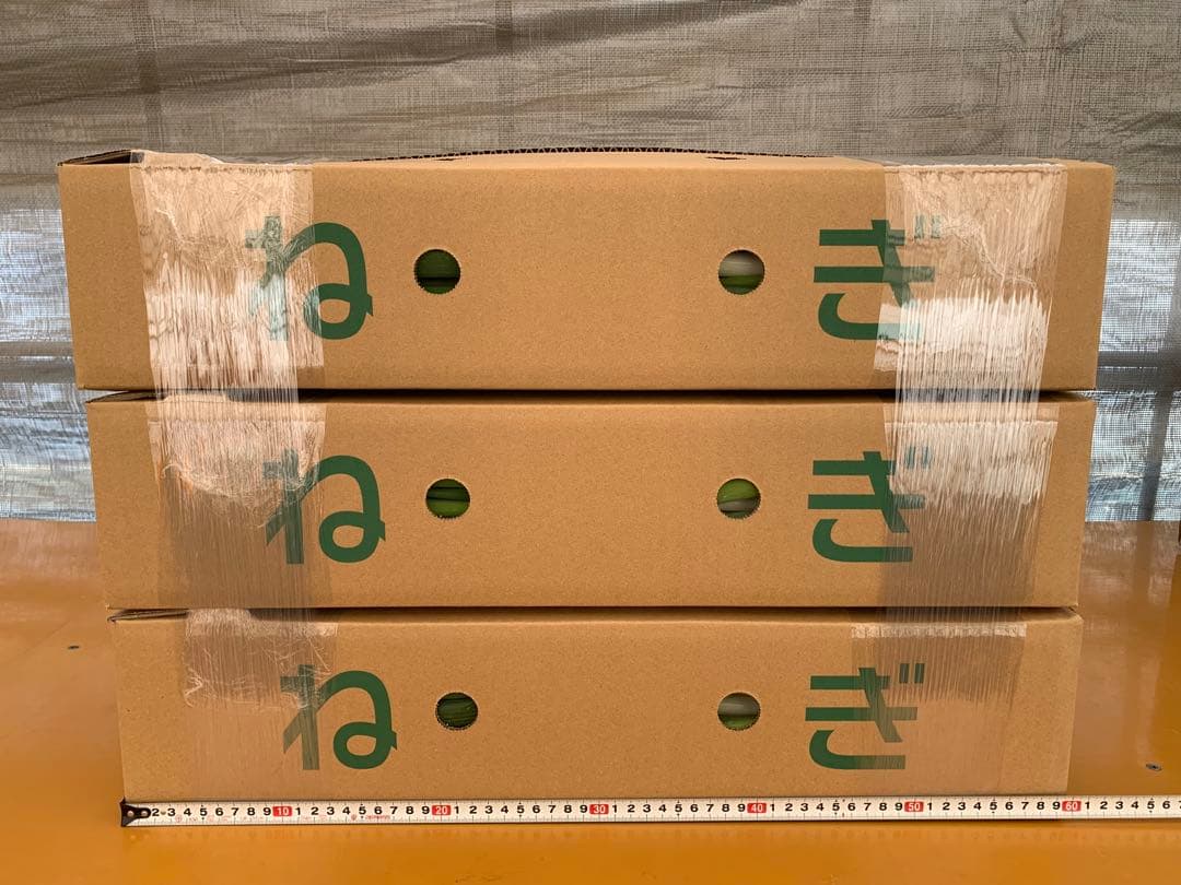 茨城県産 長ネギ 15キロ（5キロ×3箱）