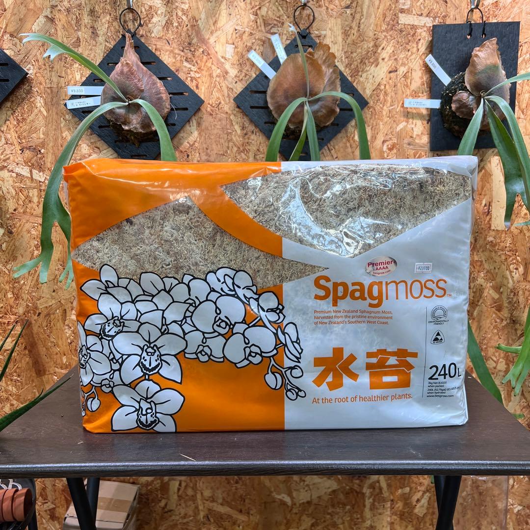 ニュージーランド産　水苔(4A)