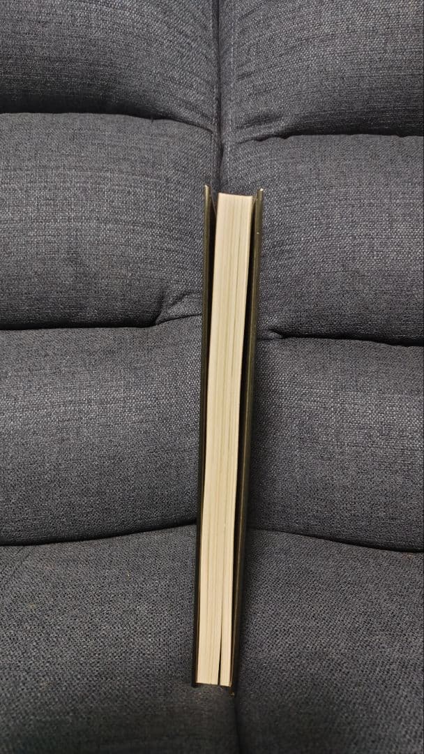 ゴロゴロ22 スカジャン写真集 東洋エンタープライズ