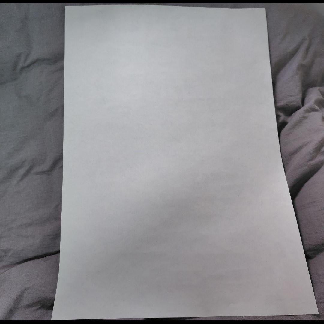 ヒグチユウコ 台湾鏡ミラーポスターショッパー ひとつめちゃん ギュスターヴくん