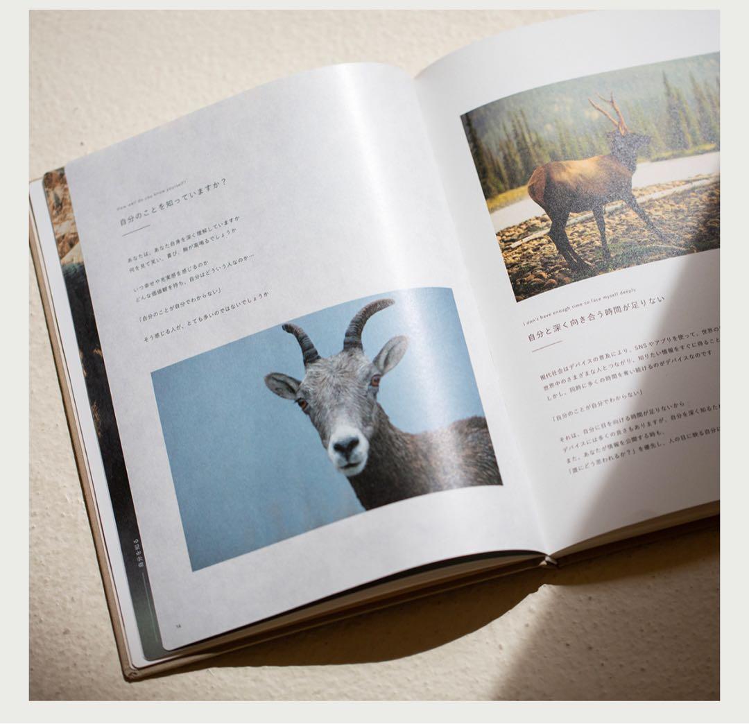 FOCUS EiTO NEXT STAGE BOOK ワークブック