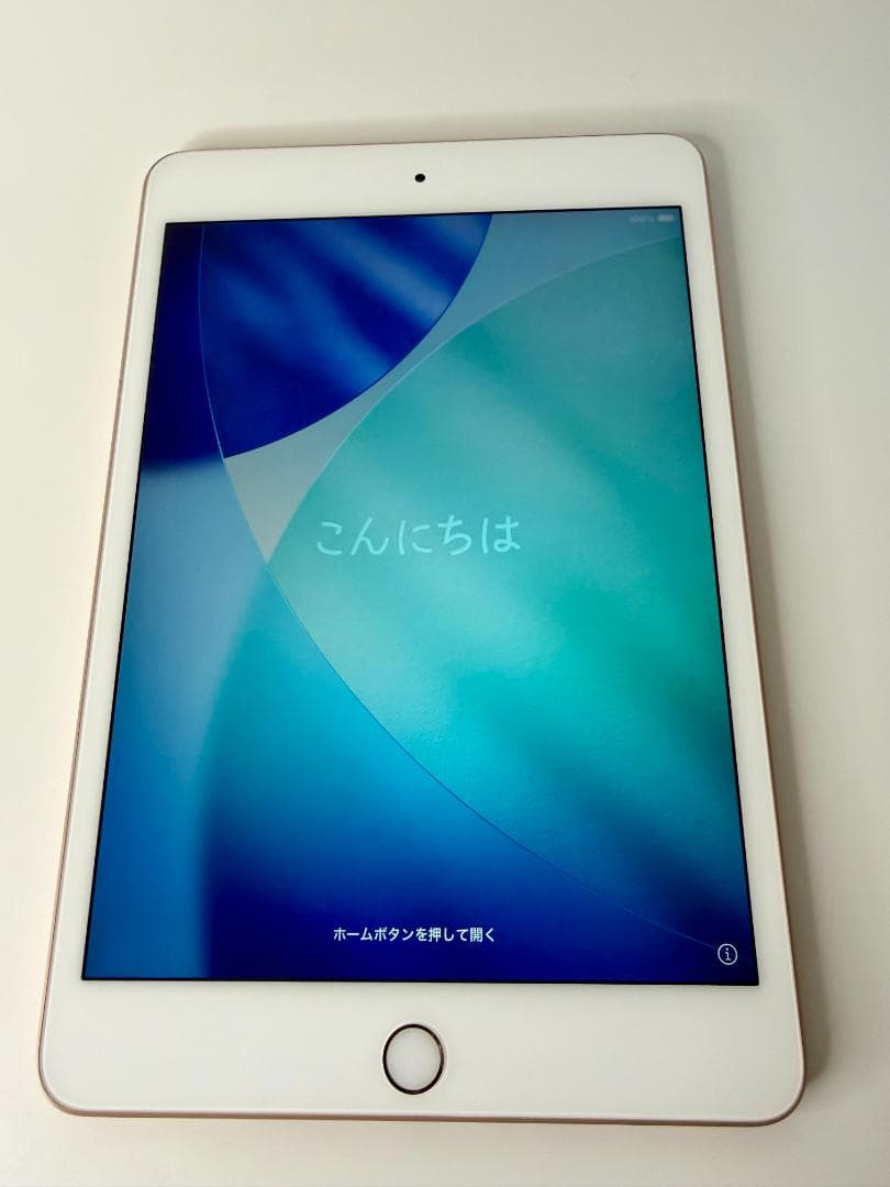 iPad mini (第5世代) Wi-Fi 64GB Gold