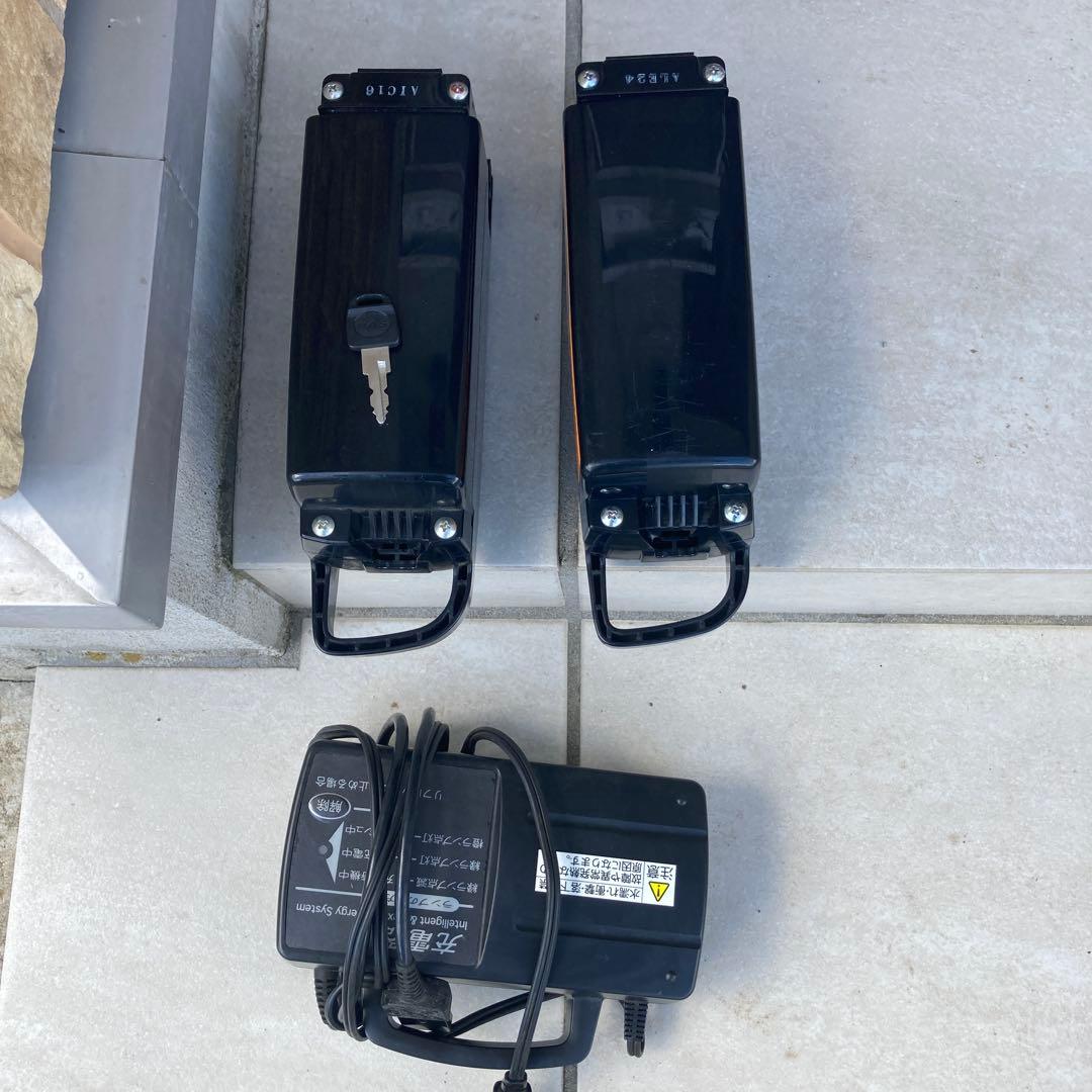 TAKARA YAMAHA DT 電動アシスト自転車 ホワイト/レッド充電不可