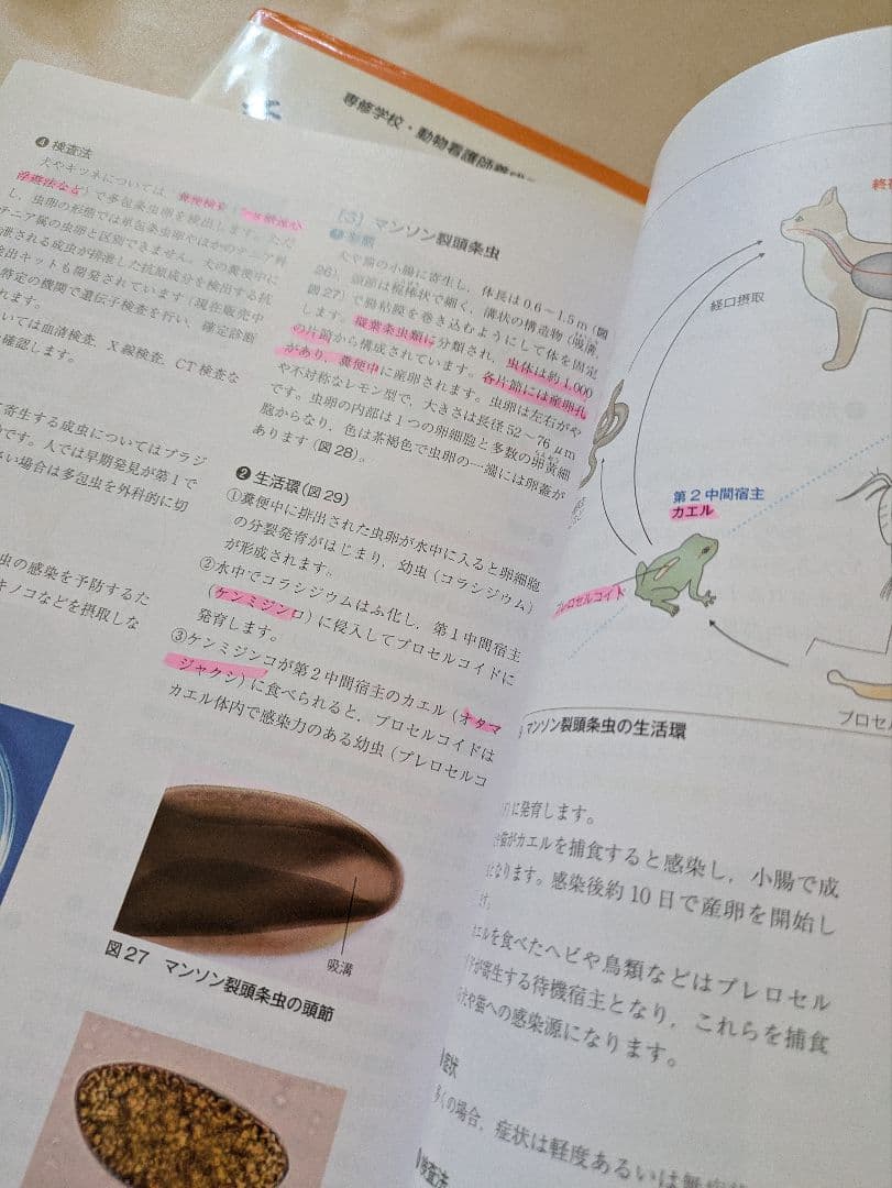 【美品】動物看護の教科書 6冊セット