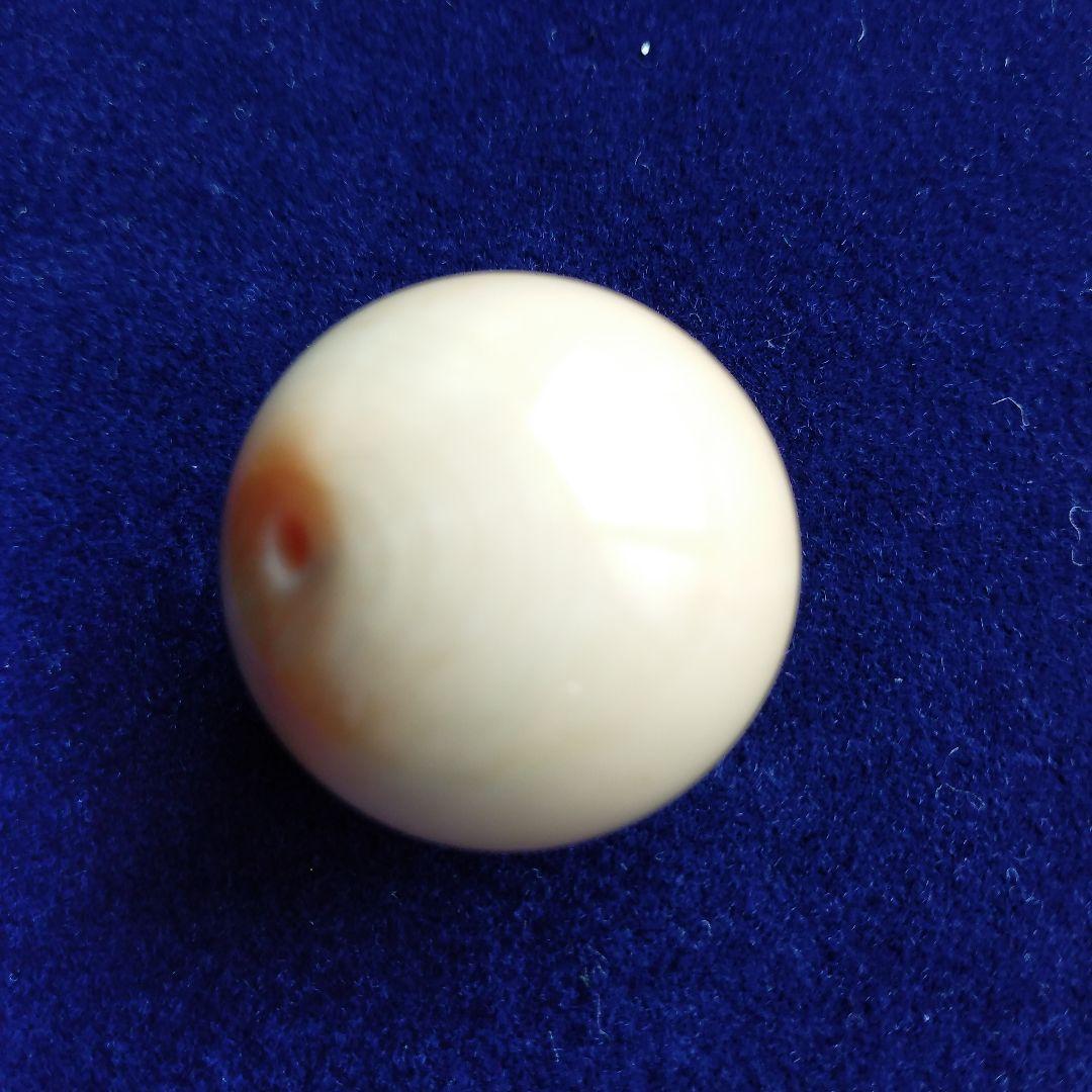 鯨歯　マッコウクジラ　牙玉　ルース　約23㎜　片穴約1.5㎜
