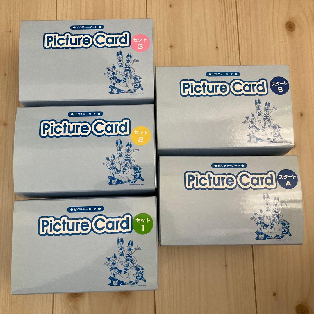 【ペッピーキッズクラブ】収納ファイル・DVD・ピクチャーカード1045枚セット