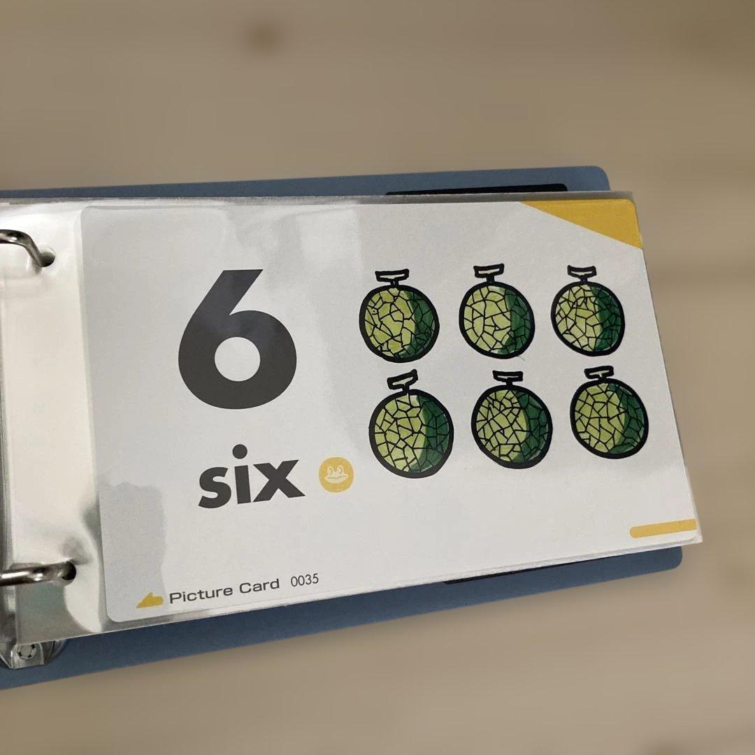 【ペッピーキッズクラブ】収納ファイル・DVD・ピクチャーカード1045枚セット