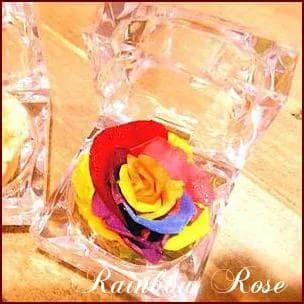 【高級プリザーブドフラワー】レインボーローズ ジュエリー