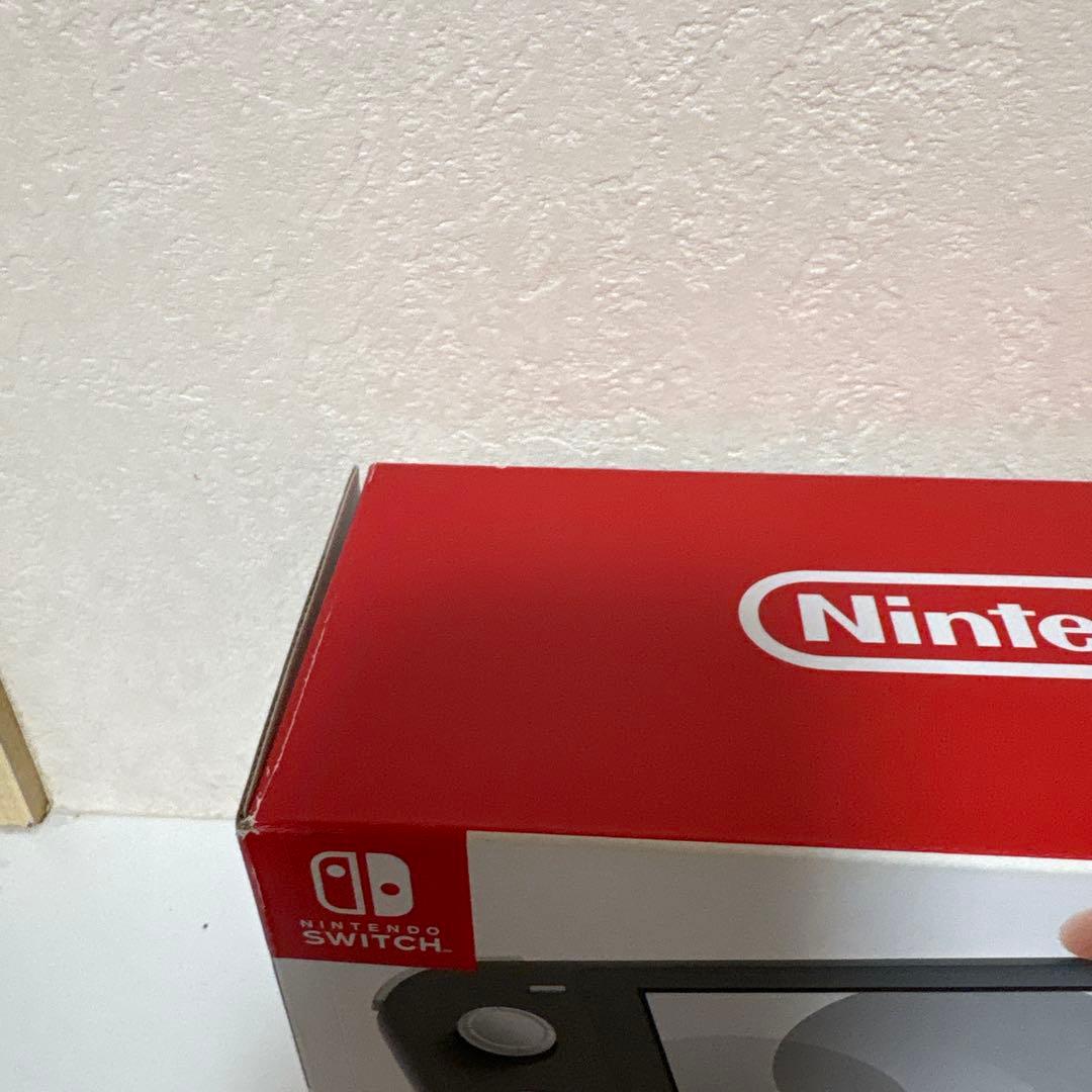 Nintendo Switch Lite グレー 本体　中古