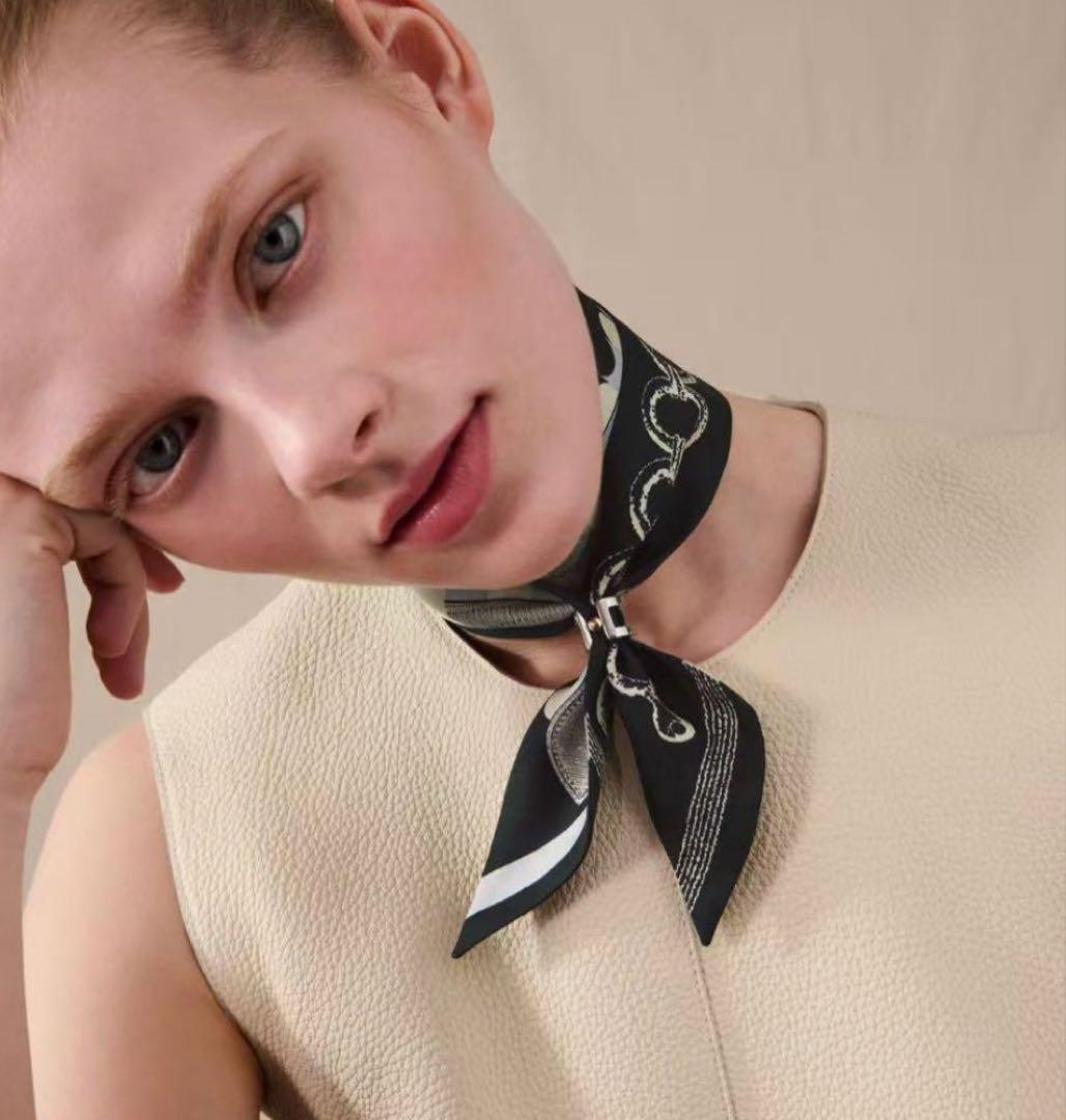 エルメス　ツイリー　ブリッドアブロック　黒　新品未使用