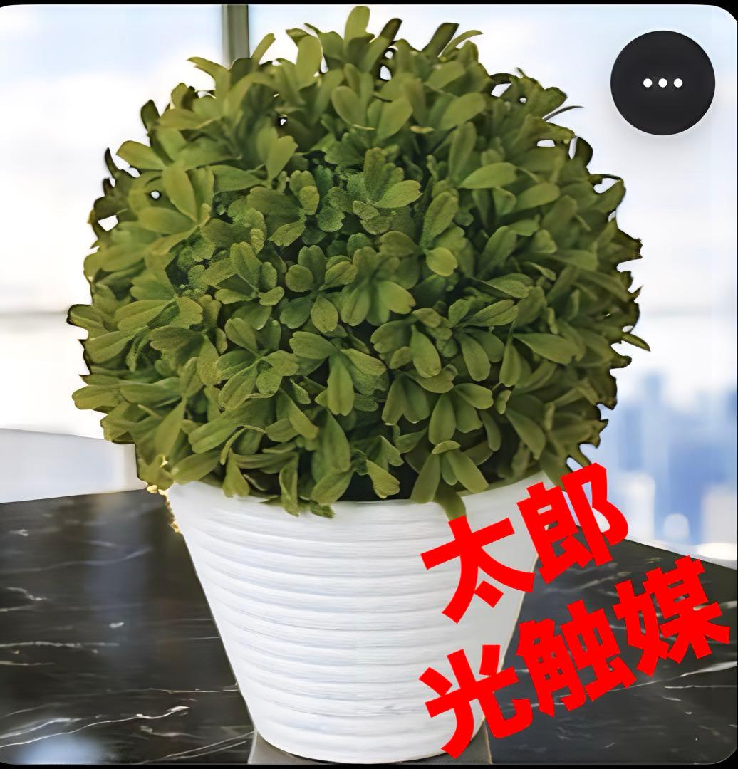 光触媒　人工観葉植物　ウォールグリーン　フェイクグリーン　萌ボールポット