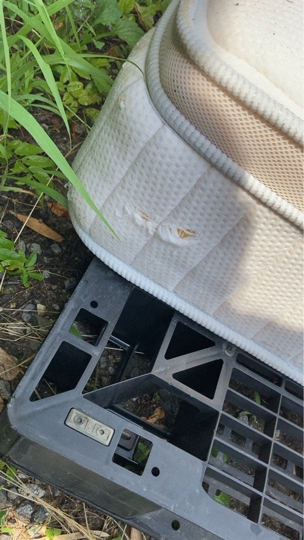 ダブル マルチスプリングマットレス