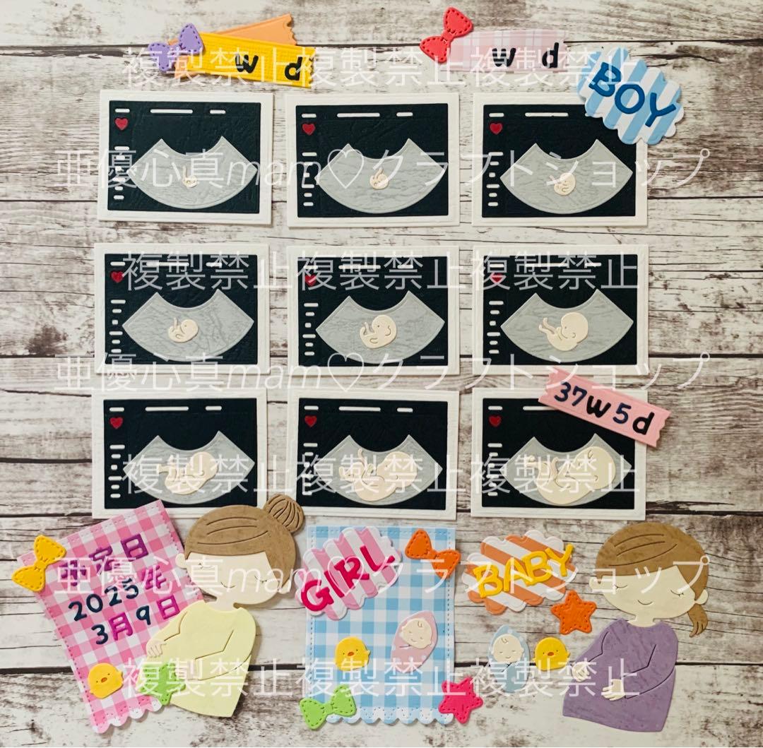 ◆オーダー用◆ ダイカット 妊婦さん エコー写真 baby