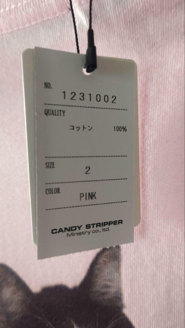 【本日まで値下げ】ザ・森東　キャンディーストリッパー　Tシャツ　さらば青春の光