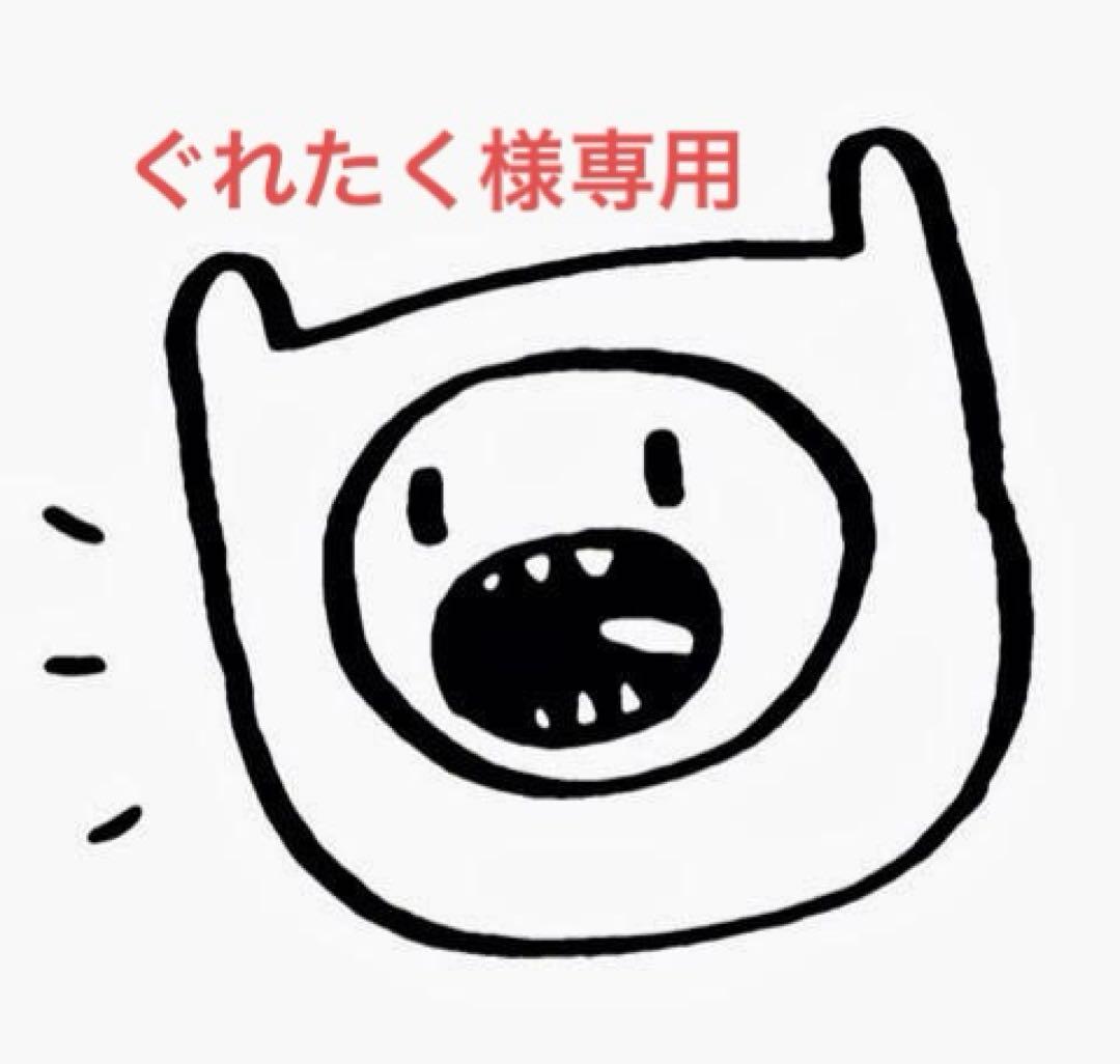 ぐれたく　ネギ種子10袋