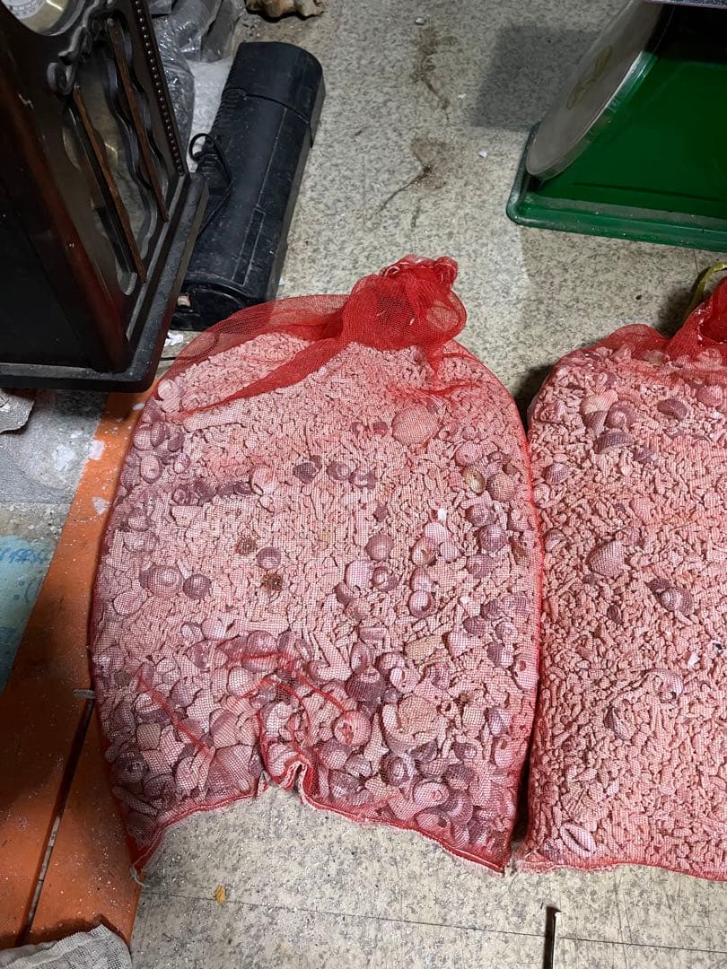 サンゴ砂、海水魚底砂、海水水槽濾過材、サンゴ米粒大、12キロサンゴ砂