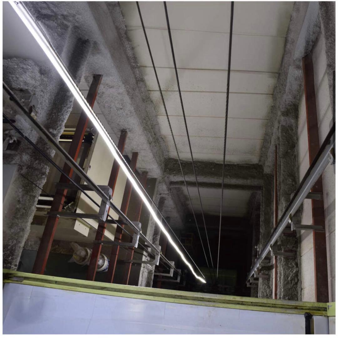 LEDコネクトライン片面発光10m白 日動工業