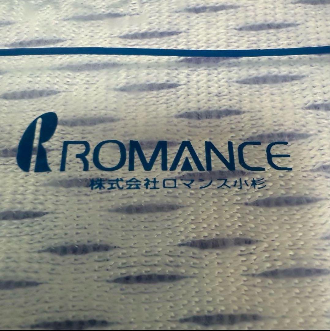 訳アリ‼️ アイス眠EX 敷きパッド　ダブル2️⃣