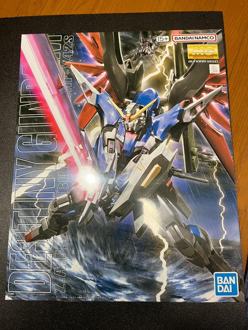 MG 1/100 デスティニーガンダム 新品