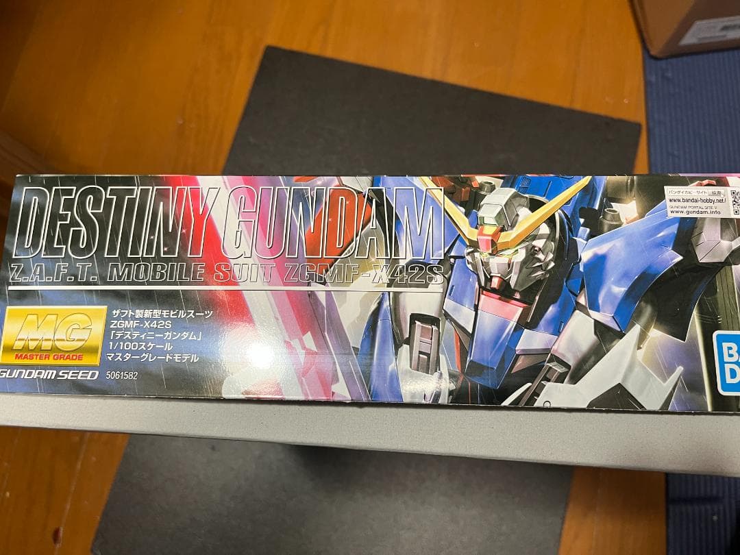 MG 1/100 デスティニーガンダム 新品