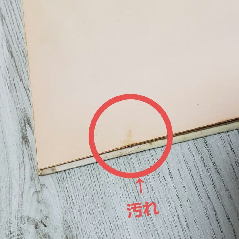 【交渉中】おひさまをはこぶちょう 絵本