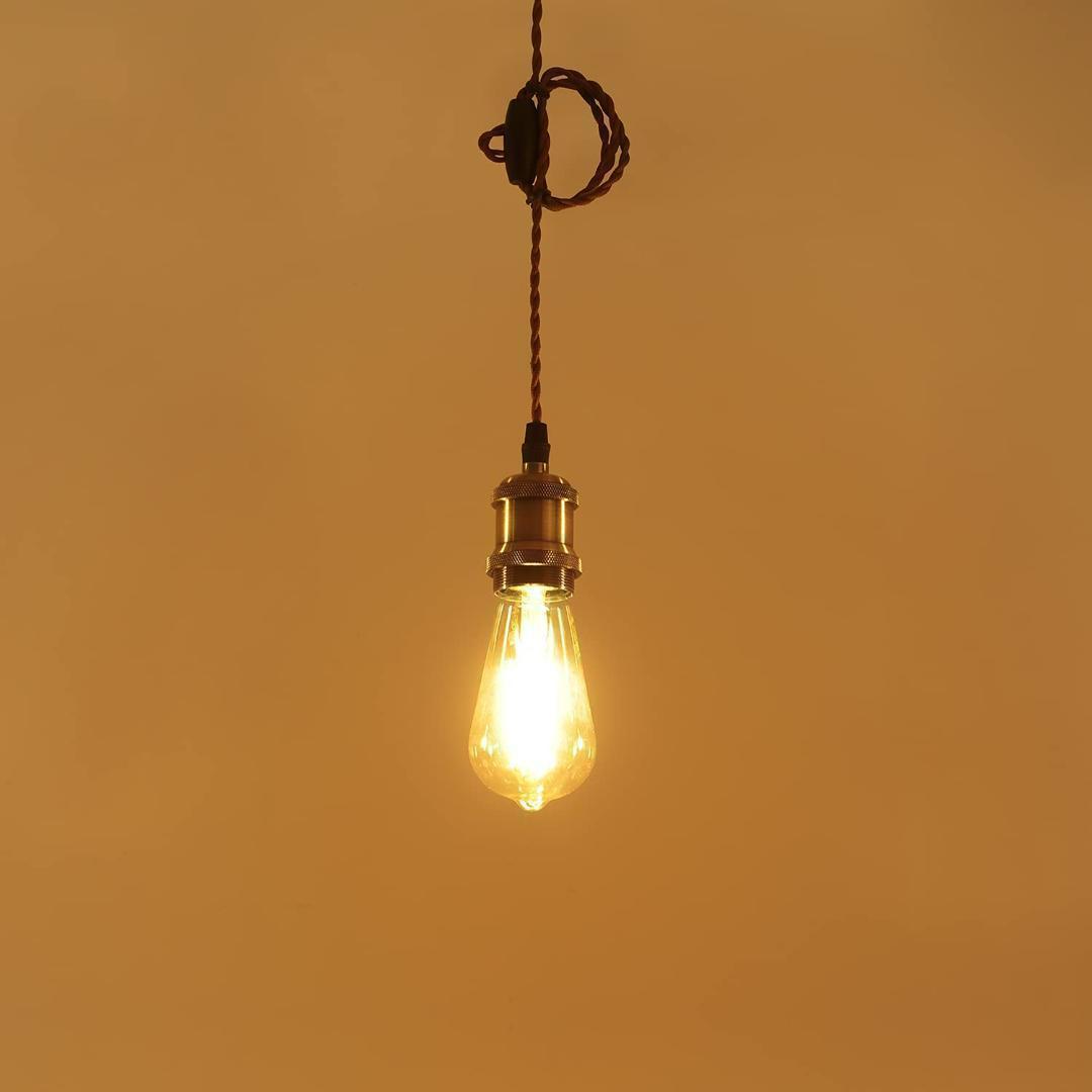 【M2086-69-45】ペンダントライト E26口金 LED電球付き エジソン