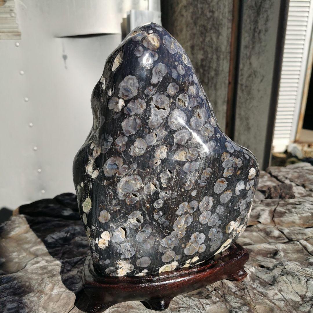 東北産　梅花石　6.7キロ　鑑賞石　石　置物　オブジェ　インテリア