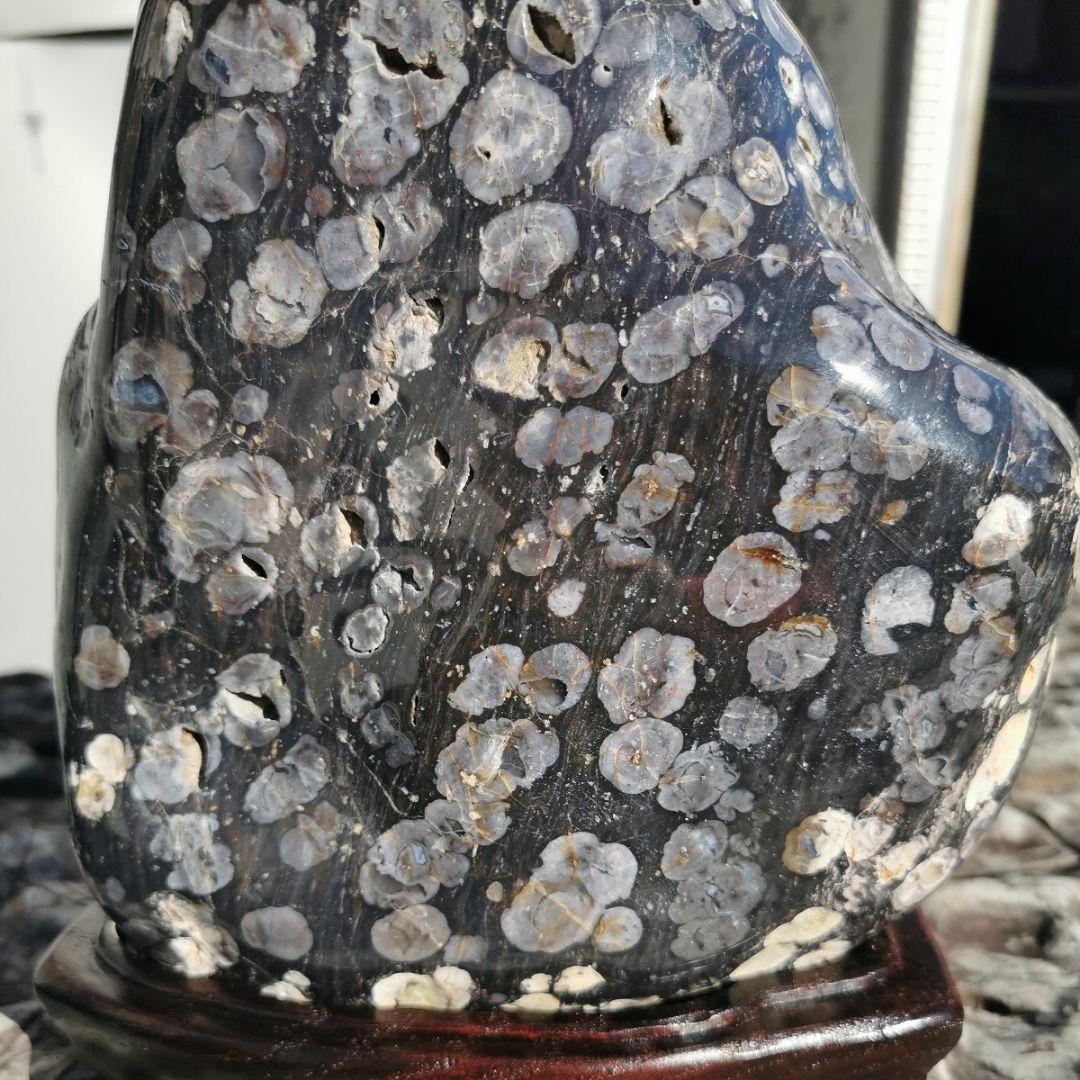 東北産　梅花石　6.7キロ　鑑賞石　石　置物　オブジェ　インテリア