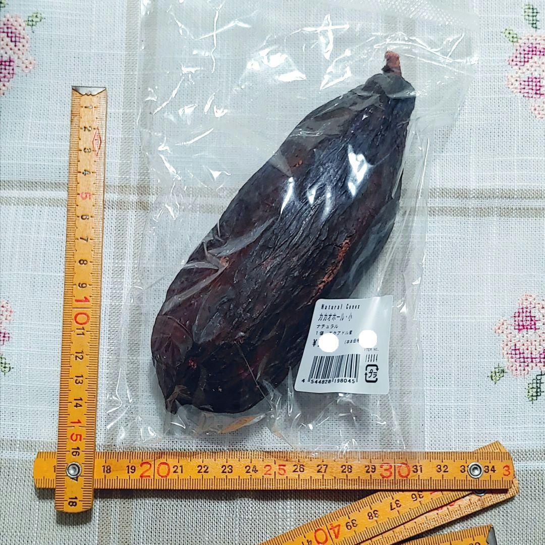 カカオホール 5個セットドライフラワー 花材 ナチュラル インテリア雑貨