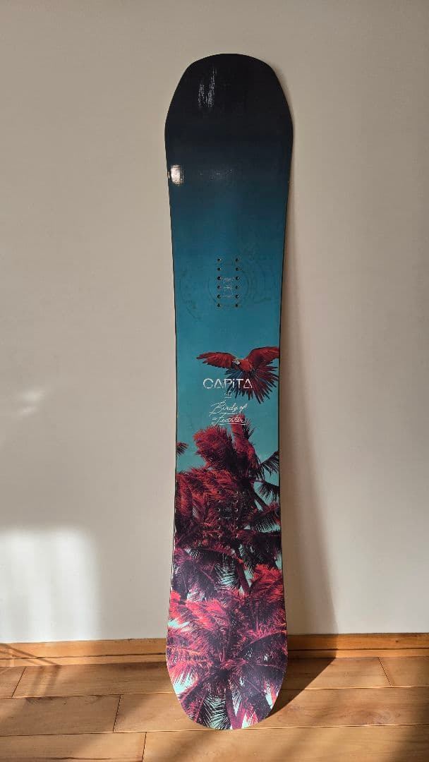 CAPITA スノーボード BIRDS OF A FEATHER　146cm