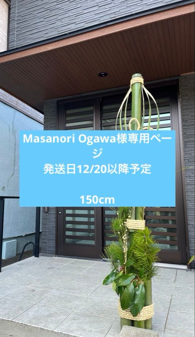 伝統的な門松 高さ約150cm